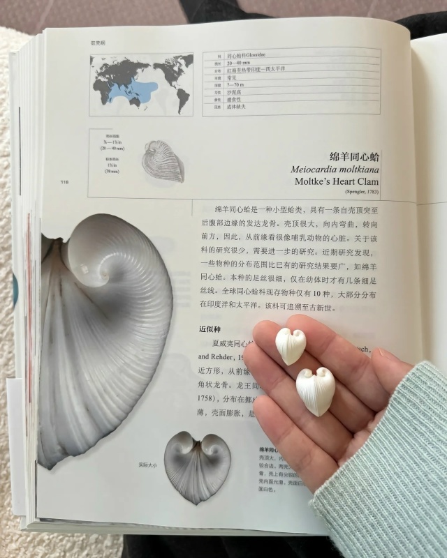 Потрясающая коллекция