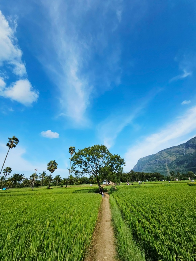 🌍Палаккад — зелёные равнины, где небо кажется бескон?...