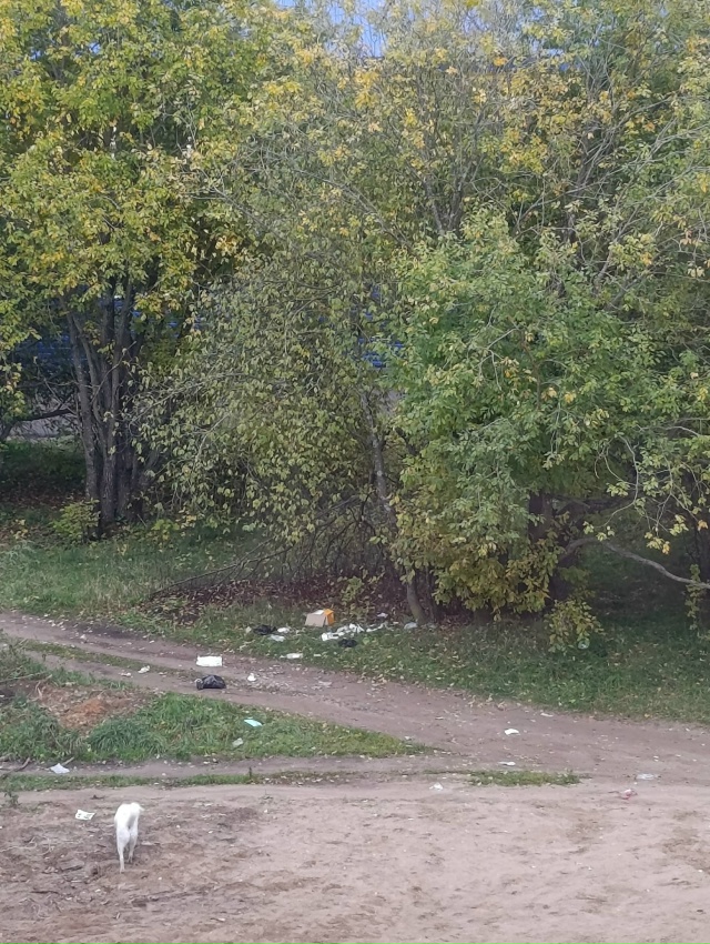 Двор ул. Весенняя д.6.
Спасибо за пейзаж!! У кого руки отс...
