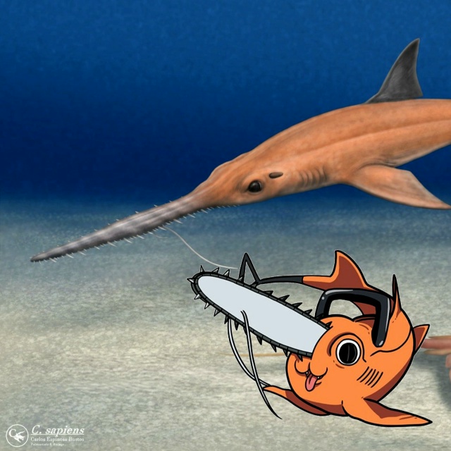 🪚 Вот так Почита стал акулой.
В Южной Америке нашлись ...