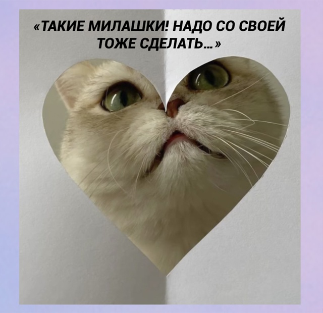 Девушка решила повторить милый тренд, но что-то пошло н...