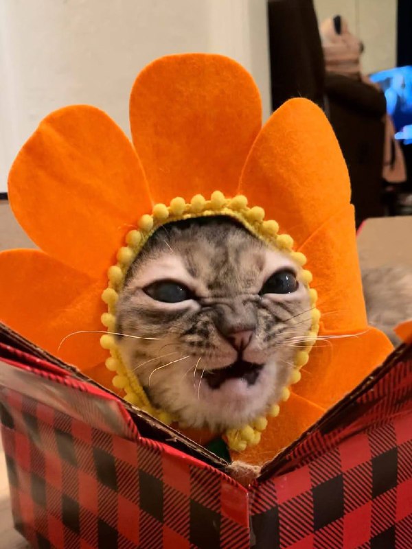 Ето я радостный и полный позитива думаю о своем светлом будущем