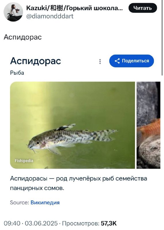 Найдено тотемное животное вашего бывшего 🤓