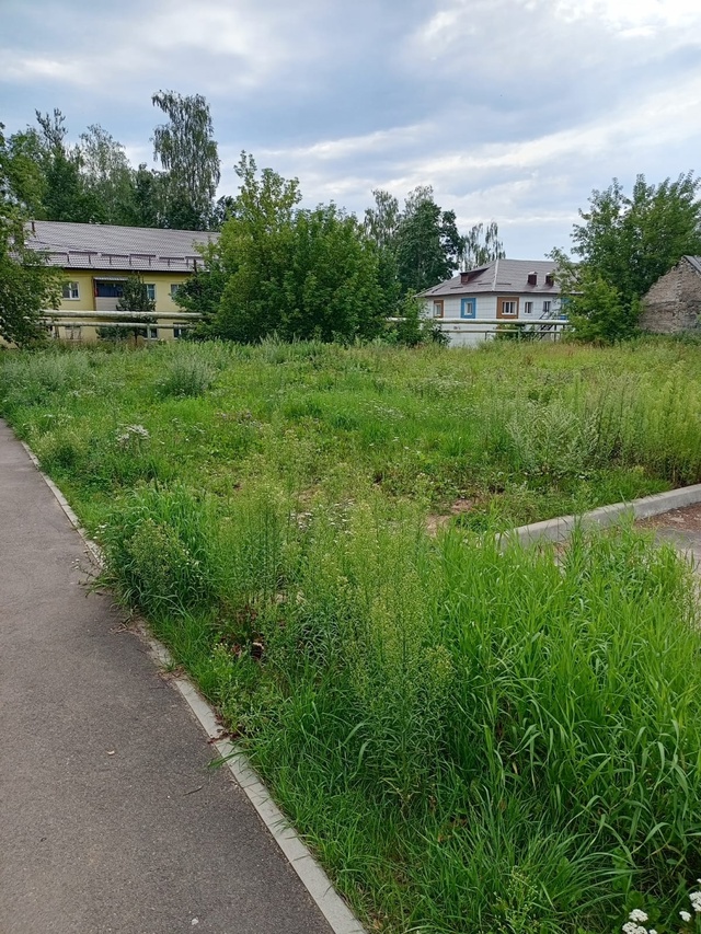 Когда начнут уже косить? Заросло все. Это на против д/с