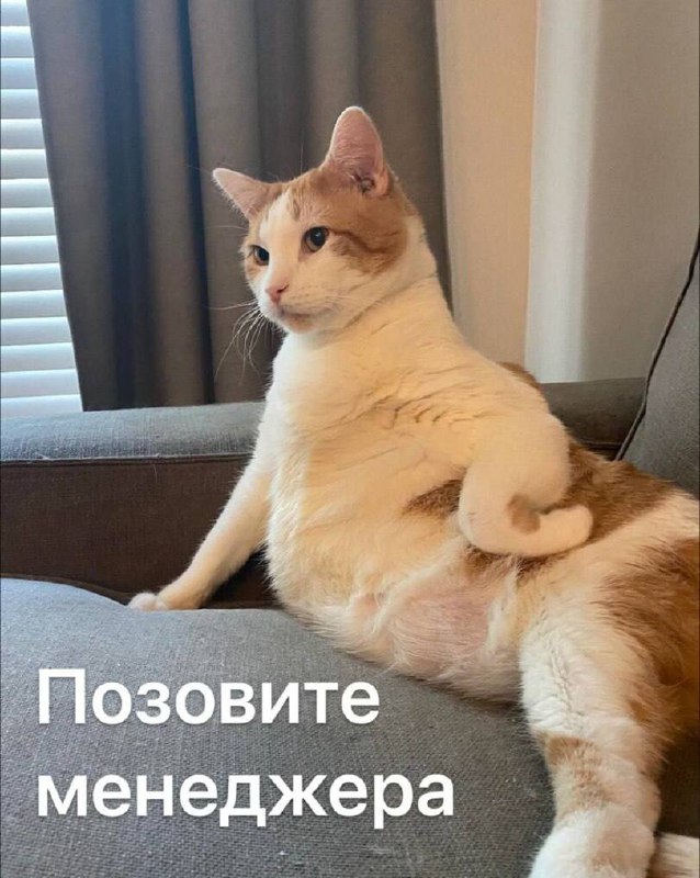 Утренняя подборочка