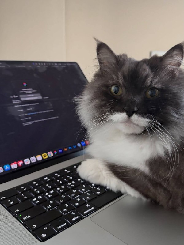 А как рабкотать?? У меня же лапке!!