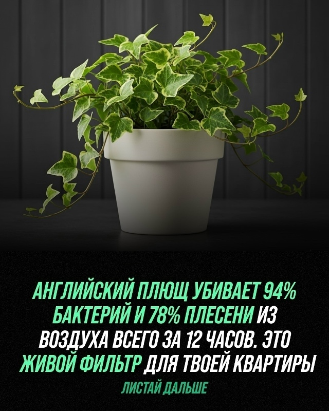 Комнатные растения — это не просто элемент декора, но ?...