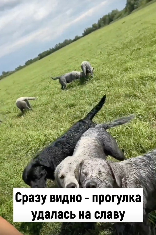 Легче купить новые, чем отмывать эти 😳🤣