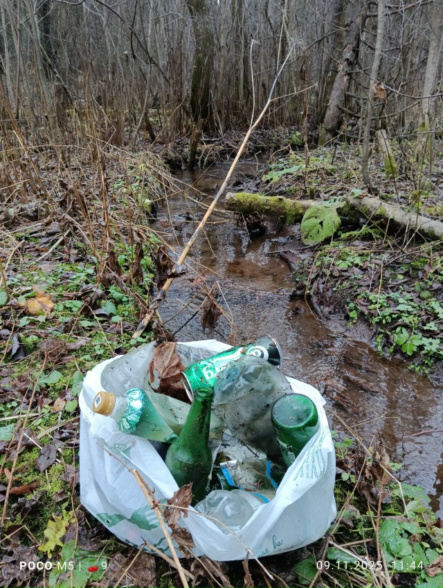 Прибрался у истока Егошихи и на экотропе 