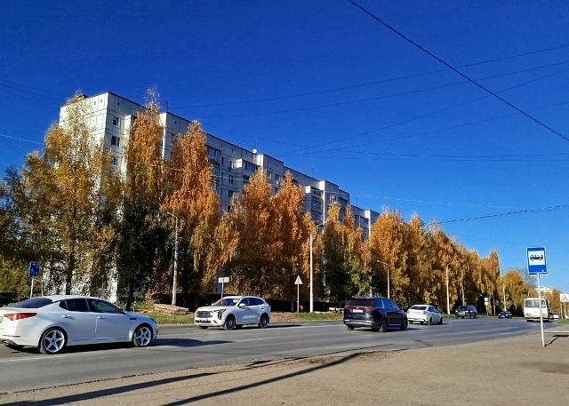 Море фотографий с осенней красотой!в этом году берёзы ?...
