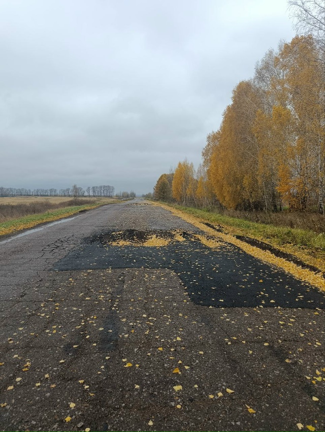 это в забелой дорога на Печенкино дальше поворота на М?...