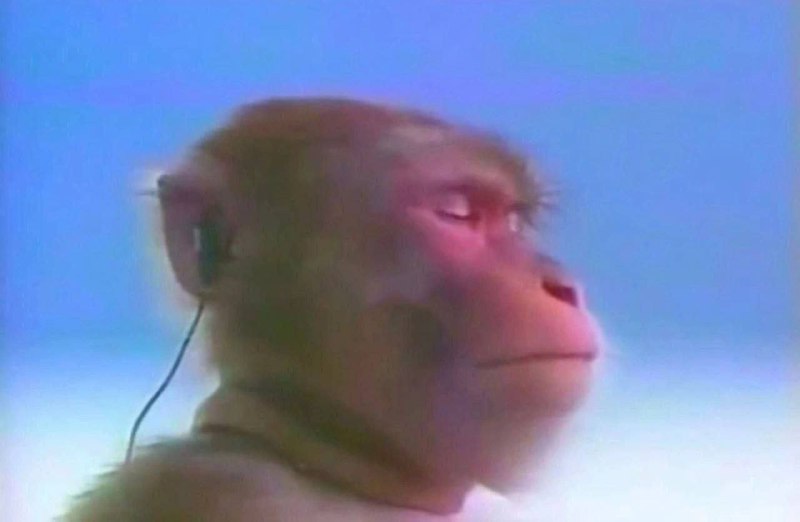 это я игнорирую все
сообщения, пока не наберусь
достаточно энергии, чтобы
возобновить общение