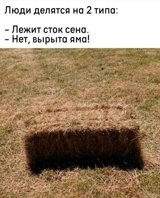 К какому относитесь вы?