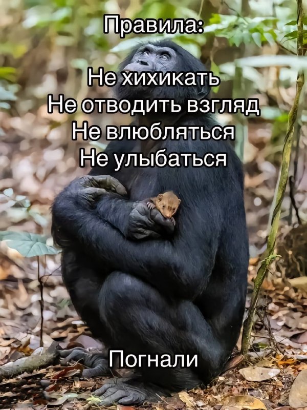 Сможешь?