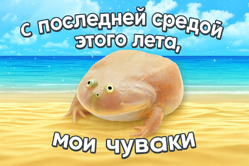 Сегодня — последняя среда этого лета, мои чуваки