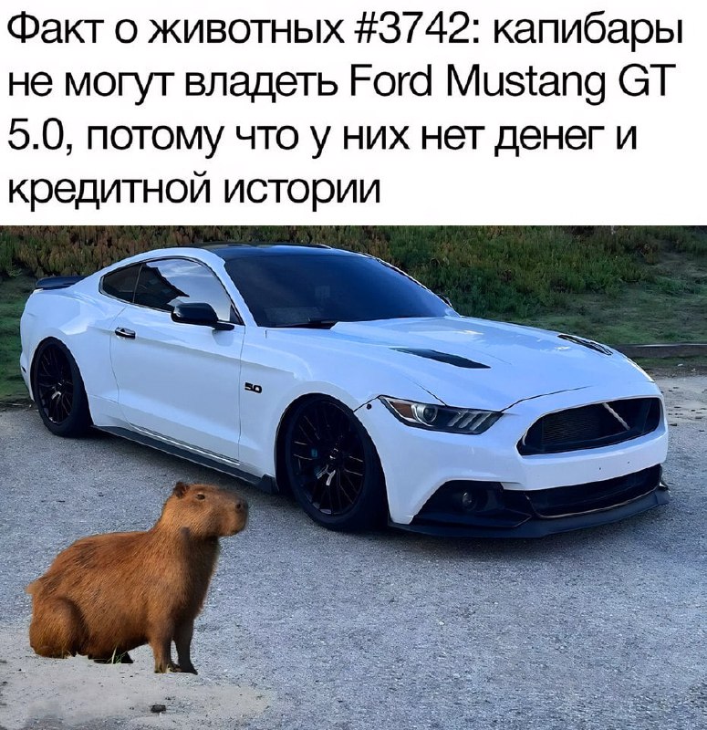 Утренняя подборочка