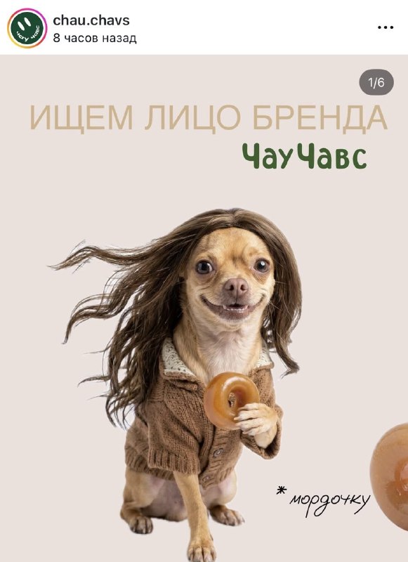 Прикольновое: бренд кормов для животных ЧауЧавс ищет новое лицо мордочку бренда.
Для участия в отбо