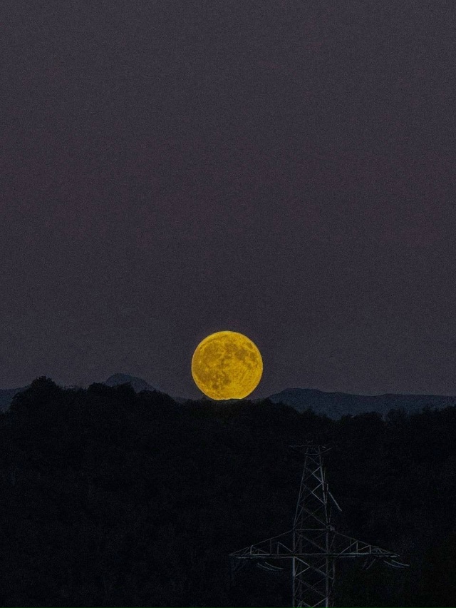 🌝Жители всех регионов России этой ночью наблюдали су?...