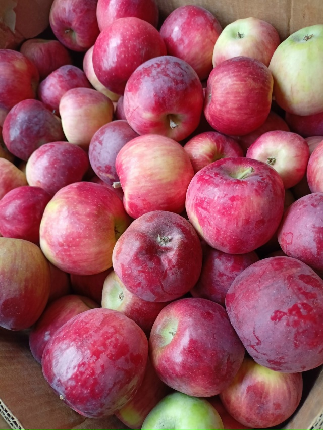 26 ноября возле 