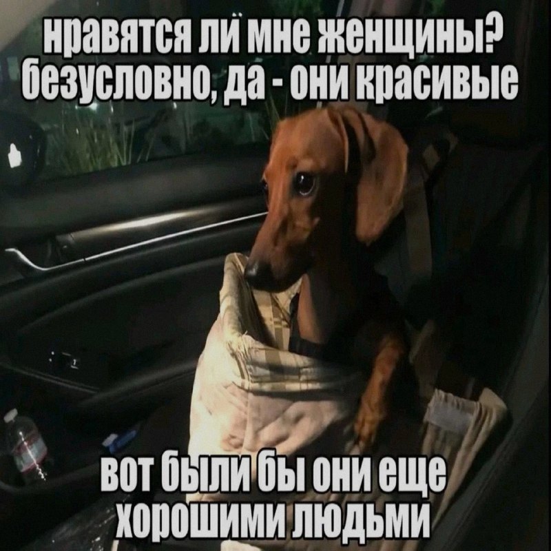 Ночная подборочка
Выходные, не спим
