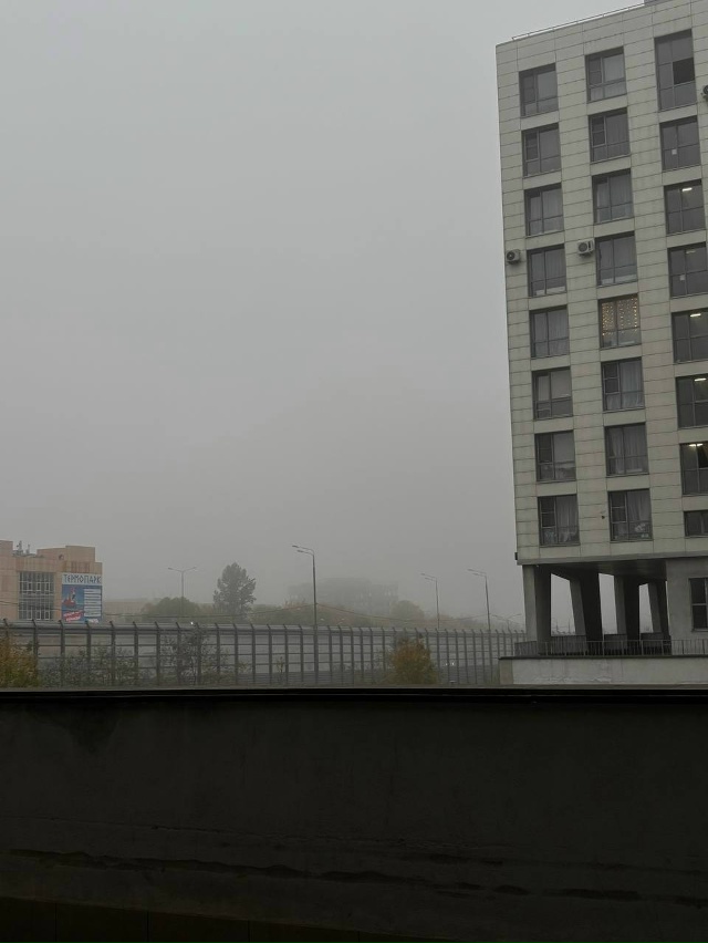 Утренняя красота 🍁