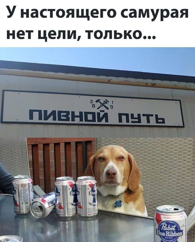 Утренняя подборочка