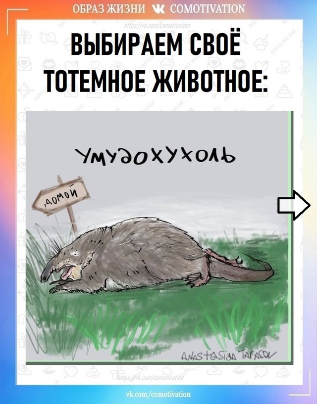 Автор картинок Анастасия Тарасова