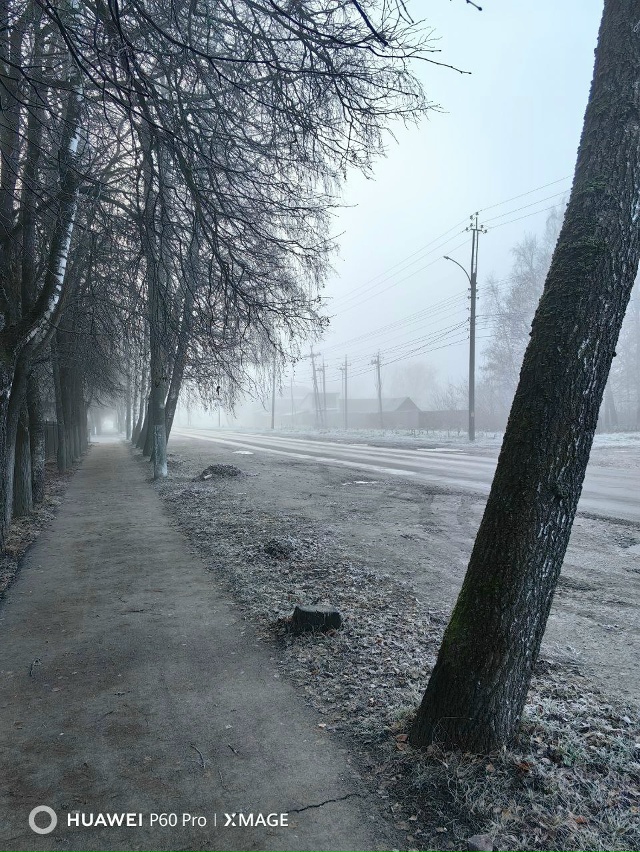 Какая романтичная погода, прям под рассказы Эдгара По.