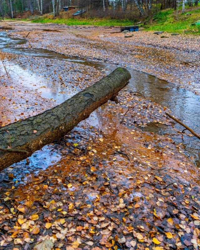 Красота осенней природы ❤ Рыбинский район, Селехово ?...
