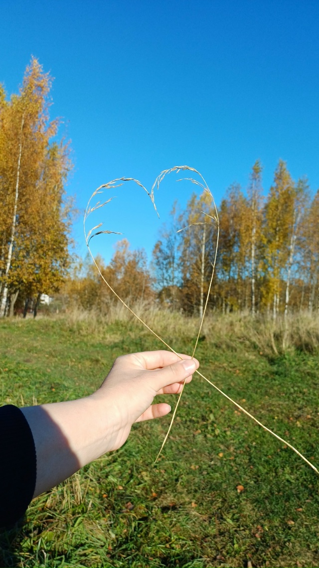 Очень классная погода👌
Особенно одуванчик) Скоро нас?...