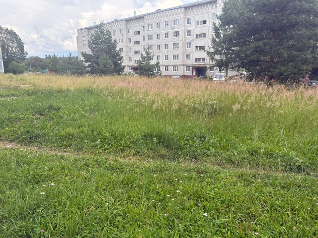 Прошу обратить внимания Администрацию города!!!На терр...