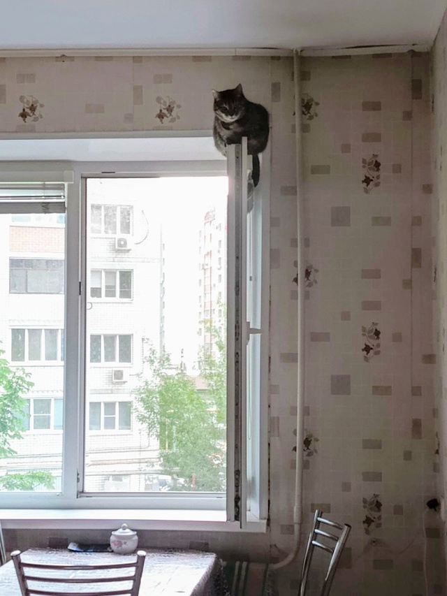 Вишня доминирует