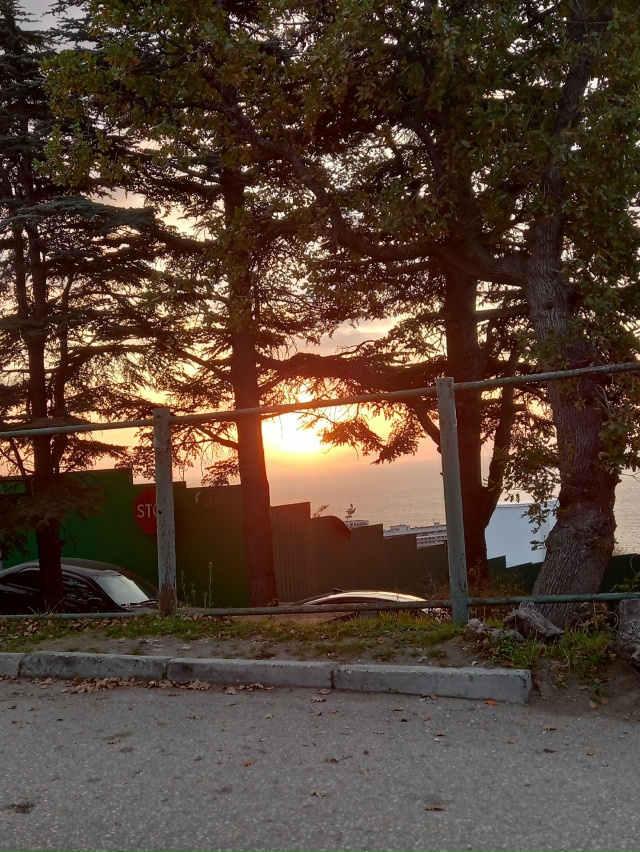 Сегодня, в ветрянную погоду, гуляя по скверу с ребёнком...