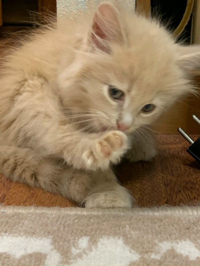 Моменты
Взросления Томасика