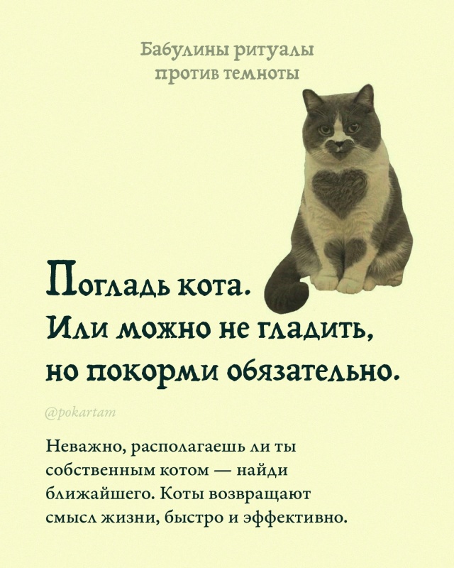 Единственное спасение для этих безумных времён, когда ...