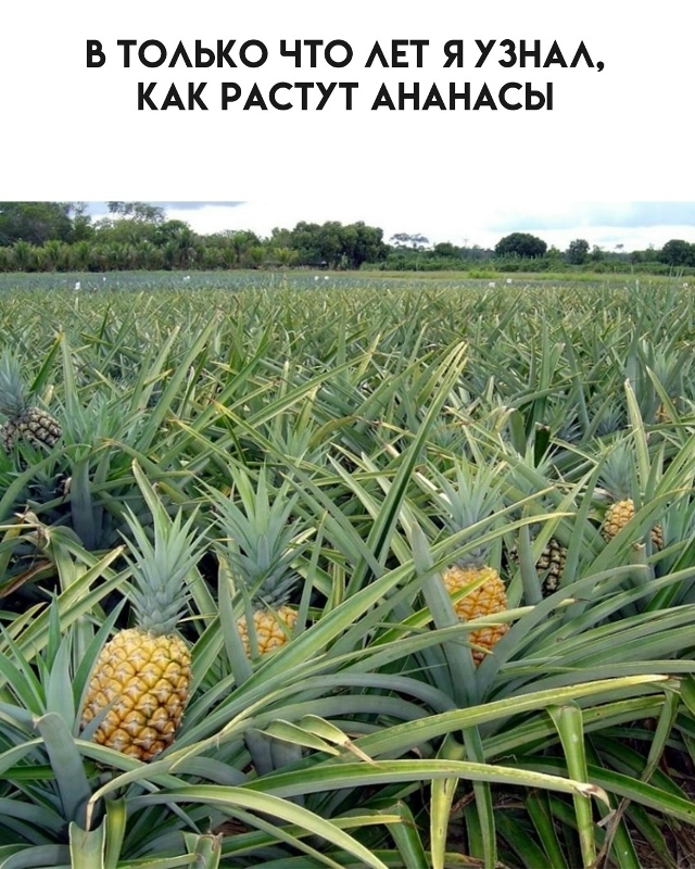 А ведь я не всё знал...