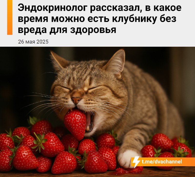 Взрослому человеку нельзя есть больше шести ягод клубники в день, рассказали врачи
Если съесть боль
