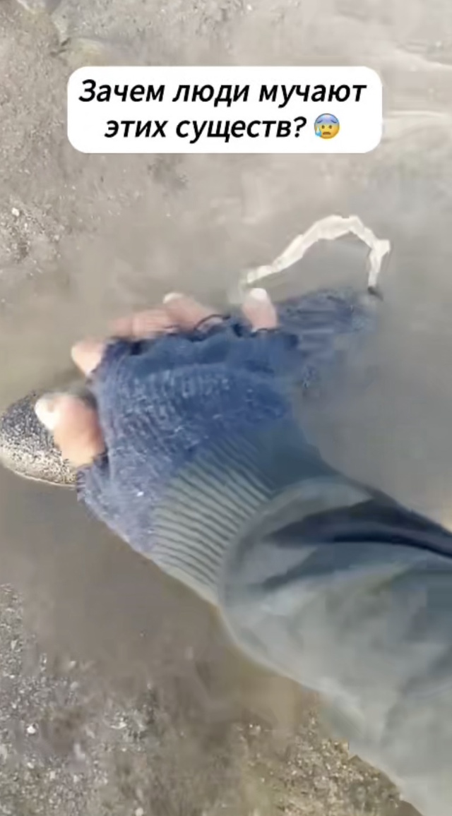 Это что за существо такое