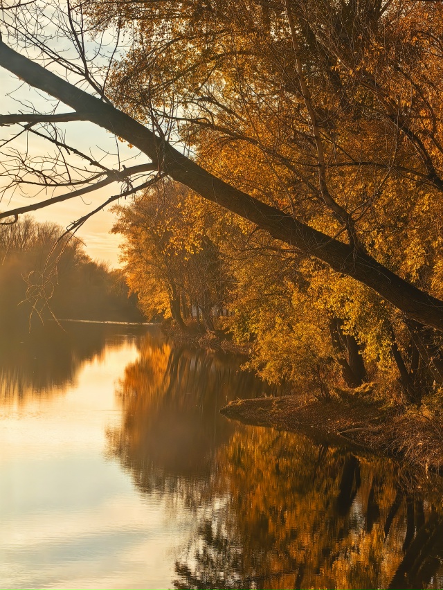 😍 Золотая осень в парке Строителей