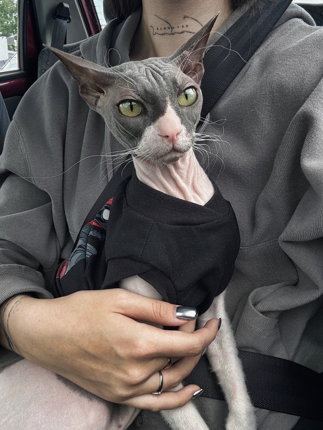 Первая летняя поездка в этом году ?
Стич абсолютно сп...