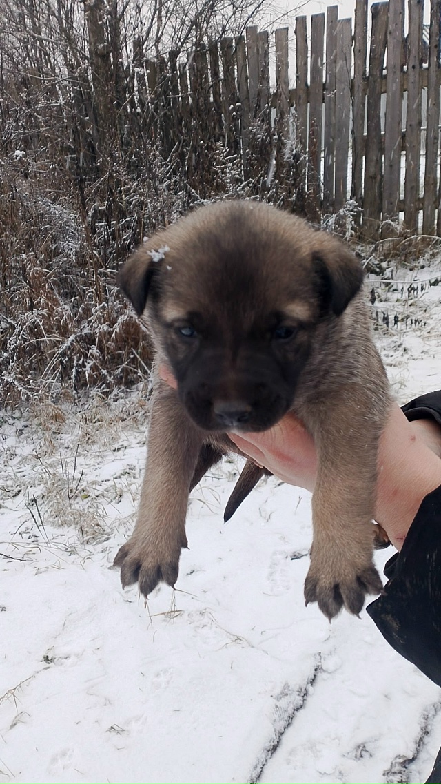 🆘️🆘️🆘️🆘️🆘️🆘️🆘
️Уважаемые жители нашего го?...