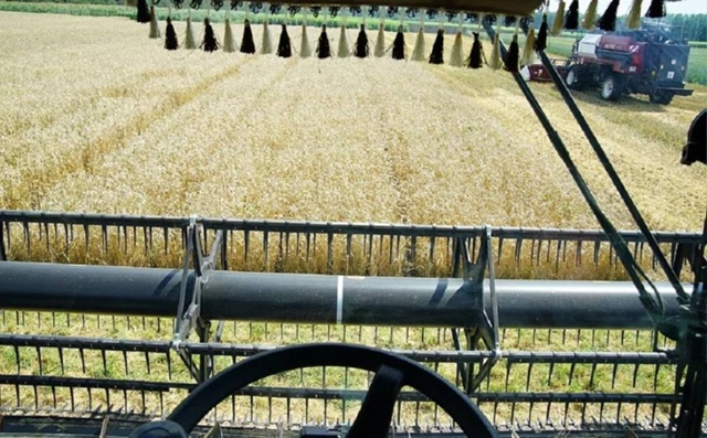 🌾Минсельхоз заявил о рекордной урожайности зерновых ...