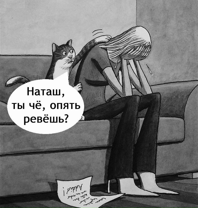 С котом сложно поспорить😅