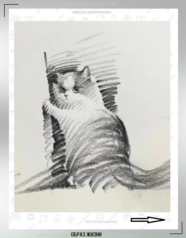 Вот такая милота. Ну куда же без кота.