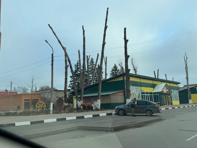 Как вы думаете,красиво смотрится?😭
Фото: Чёрно-белый ?...