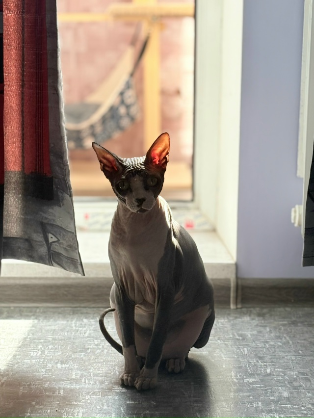 Матюша🦍❤️