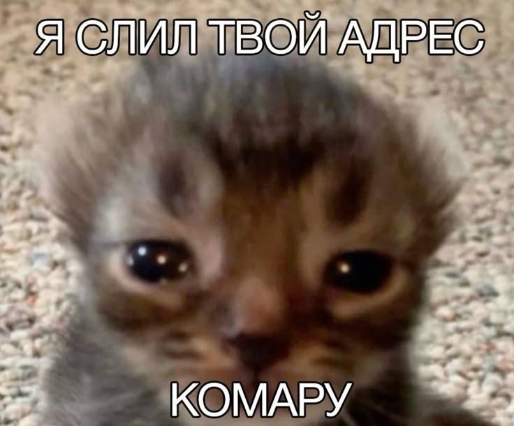 отправь другу