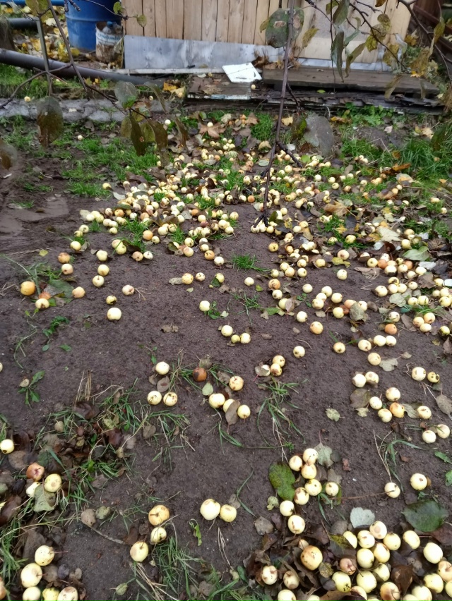 Как давно меня не было на даче и до сих пор не решил воп?...