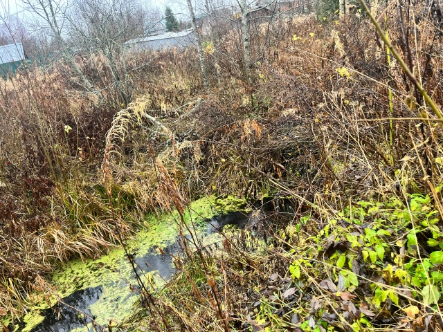 Добрый вечер! Обращение к администрации Кадуйского ра?...