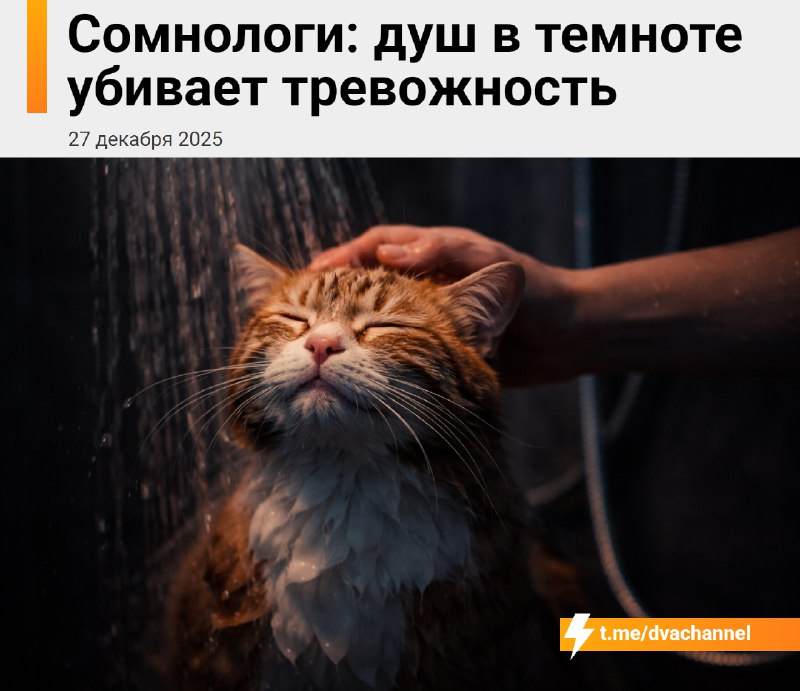 Сомнологи рекомендуют принимать душ в темноте, чтобы справиться с тревогой: такой метод помогает «пе